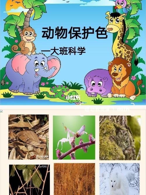 幼儿园大班科学优质公开课《动物的保护色》_幼儿园_ppt_薯条_幼儿园