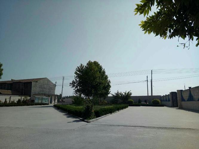 美丽校园,我的家-----临邑县兴隆镇中心小学