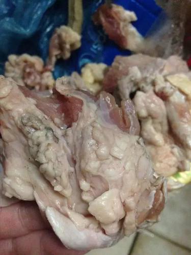 你在市面上买到的来路不明饺子 当然这些肉也会摆在猪肉摊上贩卖