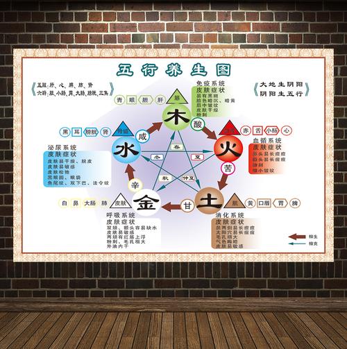 中医阴阳五行图解贴画中医养生文化知识宣传美容院海报写真