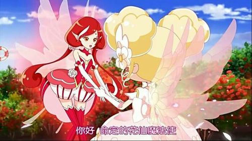 小花仙叶罗丽精灵梦穿越记