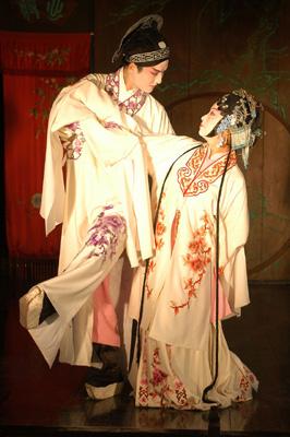 平应邀出席观看"坂东玉三郎特别公演《牡丹亭》——中国昆曲合作演出"