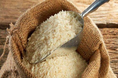 教你4个妙招除米虫,米虫轻松除干净