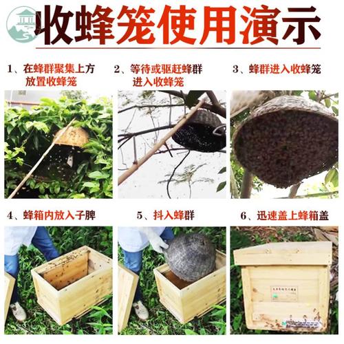 收蜂笼竹编细招蜂桶胡蜂蜂箱布袋蜂包收蜂袋笼子蜂器引蜂蜂群蜂具
