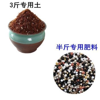沙漠玫瑰专用土沙漠玫瑰营养土通用室内盆栽土酸性沙质泥炭土肥料3斤