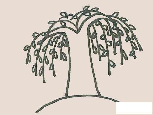 第四步:接着在两条弧线下面,画上更多下垂的弧线形成柳树枝条.