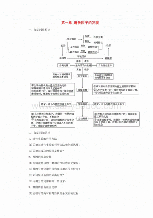 高中生物如何突破难点