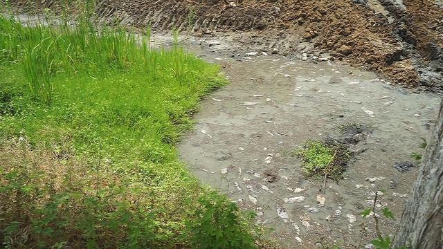 农村沟渠清淤,4个月后,8公里臭水沟会变成