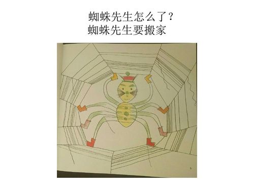 《葛幼小课堂第四十六期》中班绘本:蜘蛛先生要搬家