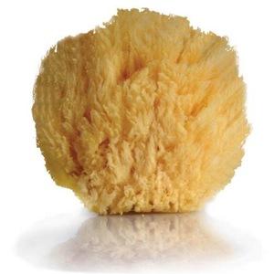 hot sale high quality natural sea sponge