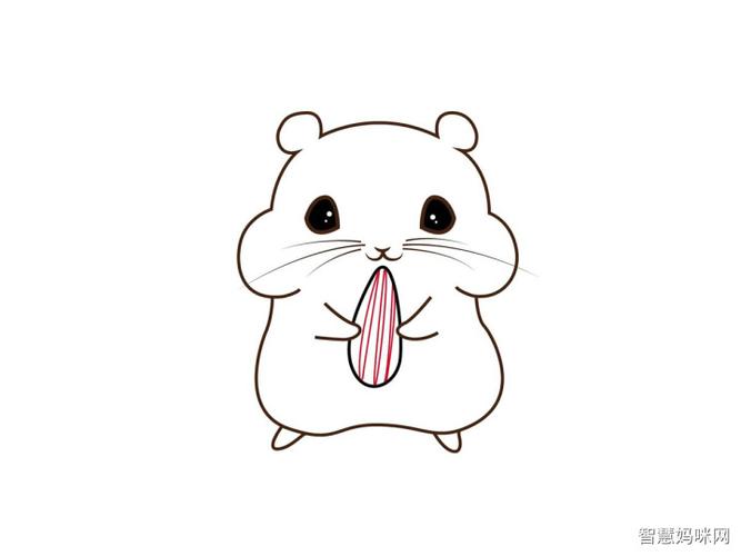 仓鼠简笔画画法步骤