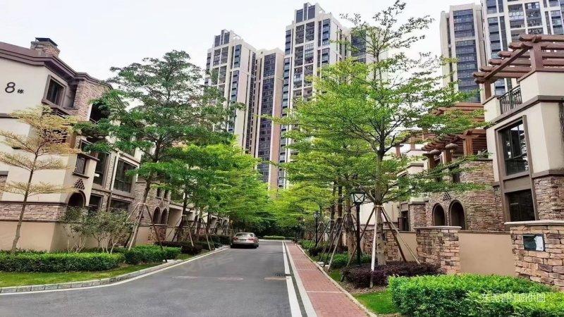 东莞房产网>东莞二手房>塘厦二手房>大坪二手房>卓越蔚蓝山(别墅)>800