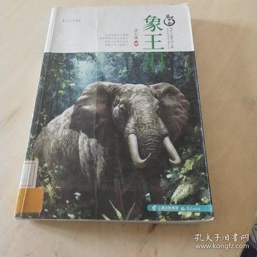 盛世中国原创儿童文学大系:象王泪