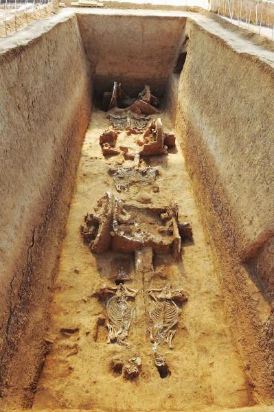 专家称秦兵马俑坑不是"芈月"陪葬坑