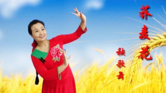 火爆全网广场舞《荞麦花》秧歌风格,欢快喜庆,歌甜舞俏让人陶醉