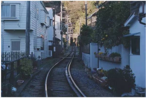 《海街日记》养眼又养心,四个女人不露也很美