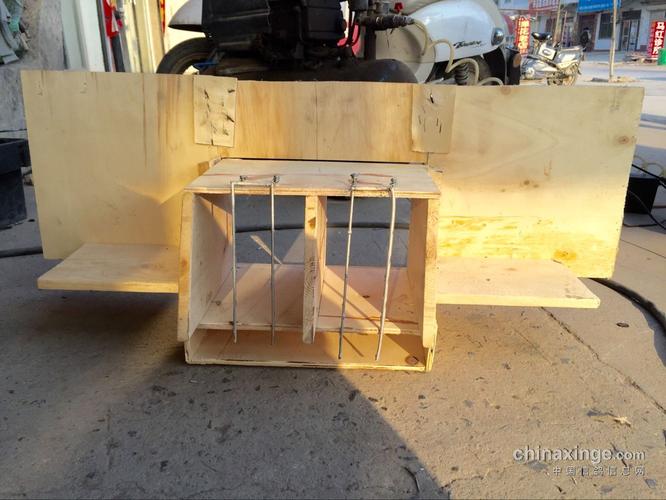 省下来的钱就可以给鸽子买其他需要的东西,这可以说是一举两得!