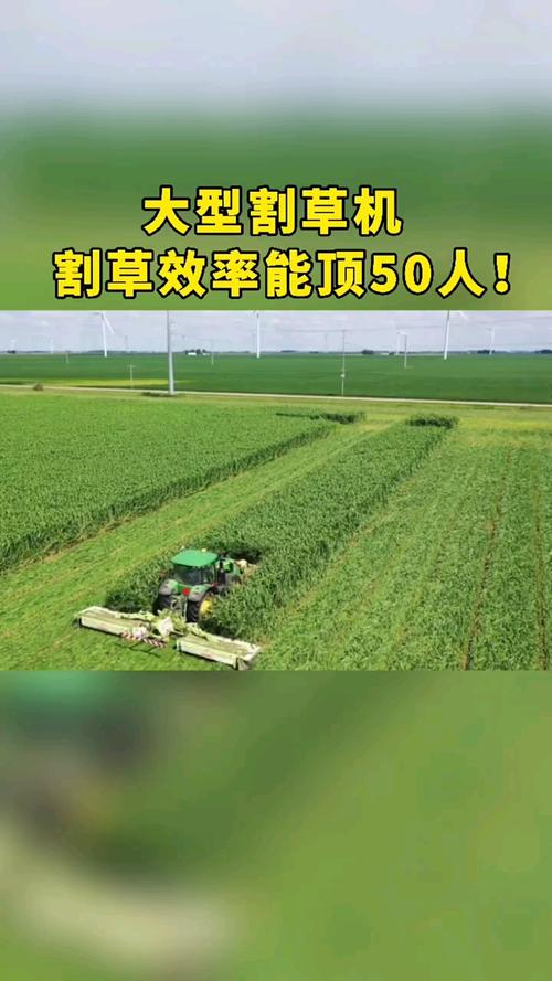 我要上热门#大型割草机,割草效率能顶50人!