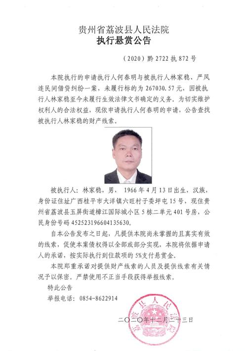 公告】2020年荔波法院悬赏公告之七荔波潘仕球涉黑案简介(八)大结局