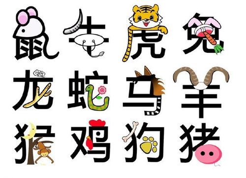 十二生肖的真正寓意,震慑国外十二星座,老外听后赞叹不已