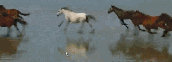 在装修过程中所遇到的情况,让她心中万马奔腾!