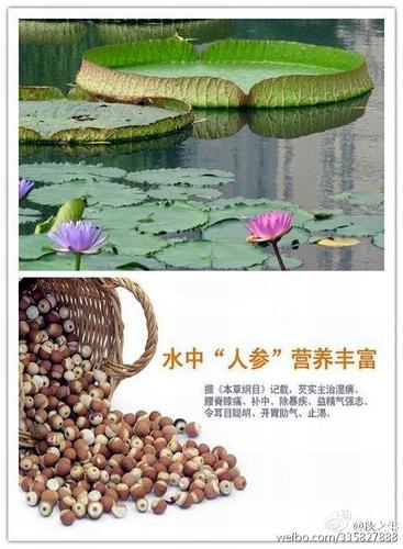 秋牛的个人空间