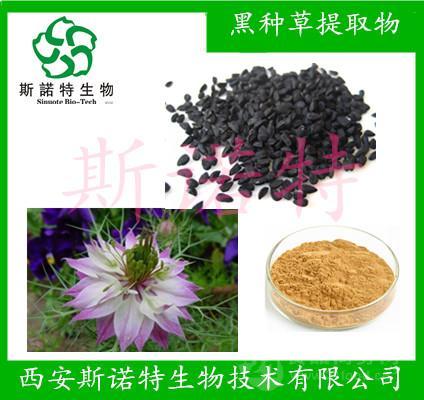 黑种草提取物101黑种草籽粉现货供应sc斯诺特