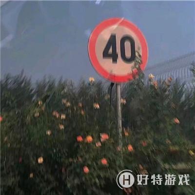 最旺财好运的微信头像大全