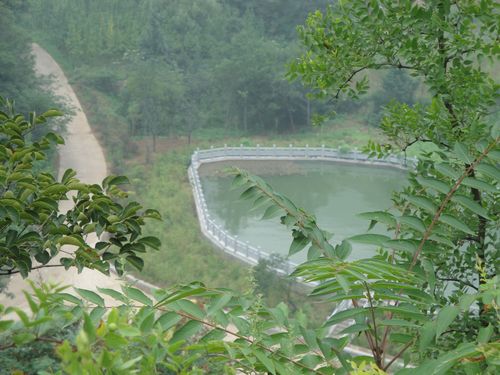 求 山东淄博博山 如月湖湿地公园的门票