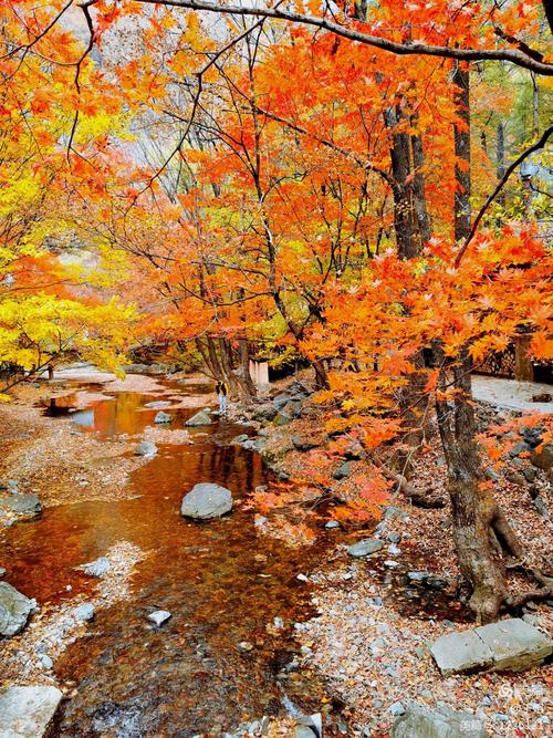 辽宁本溪关门山风景区