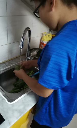 帮妈妈洗菜