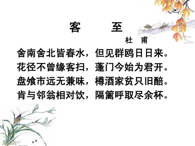 客至(杜甫)高二语文 苏教版 仲丽娟ppt