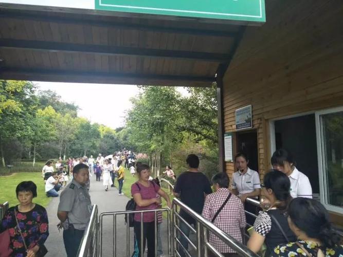 宜宾县喜捷的彩山停车场都塞满了