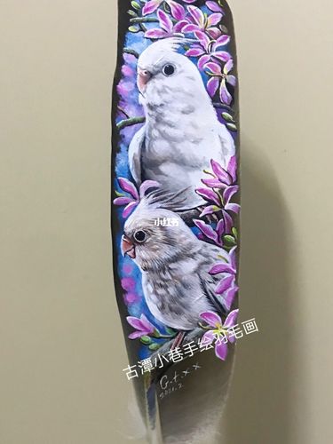 羽毛上作画,客订的玄凤鹦鹉,待入框_手绘_鹦鹉_文化