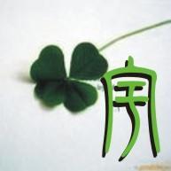 制作一个"宇"字的头像,好看的,如果教,分给多.