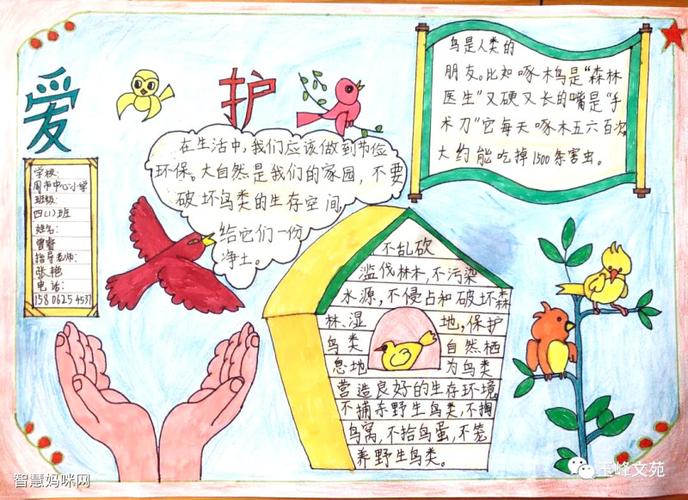 小学生爱鸟护鸟手抄报