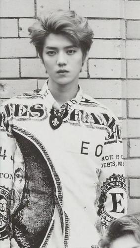 鹿晗照片尽显酷帅魅力,侧颜杀格外迷人