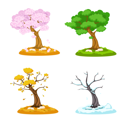 春夏秋冬四季树木