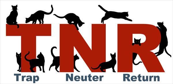tnr全称trap neuter return,三个英文单词分别代表" 捕捉, 绝育, 放归