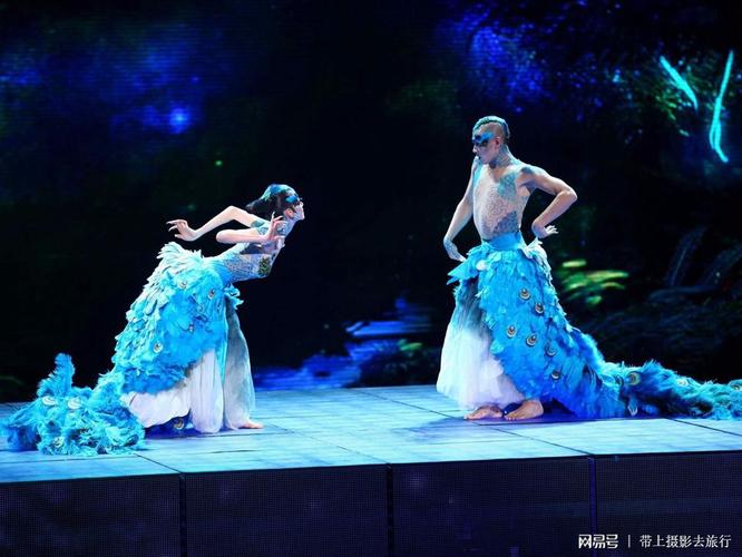 图为2012年央视春晚现场,杨丽萍与王迪表演舞蹈《雀之恋》.