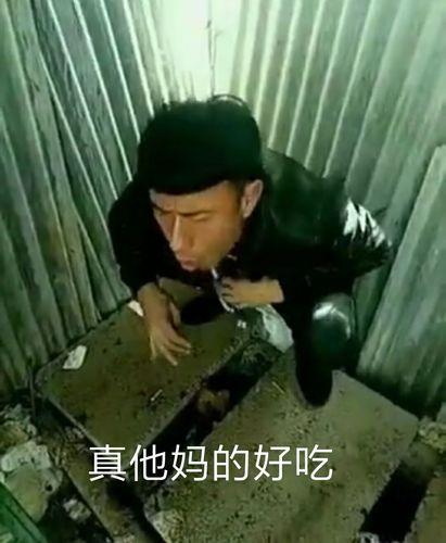 岛市老八斗图【表情包】第二期"奥利给,造它就完了"