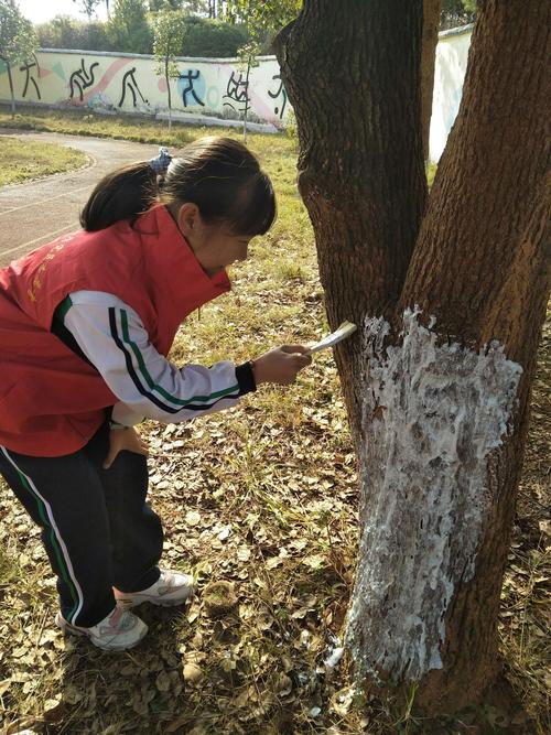 给树"穿冬衣"——为树木健康"保驾护航"