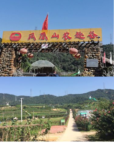 欢声笑语中的凤凰山农趣谷——新欣班2019年毕业之旅