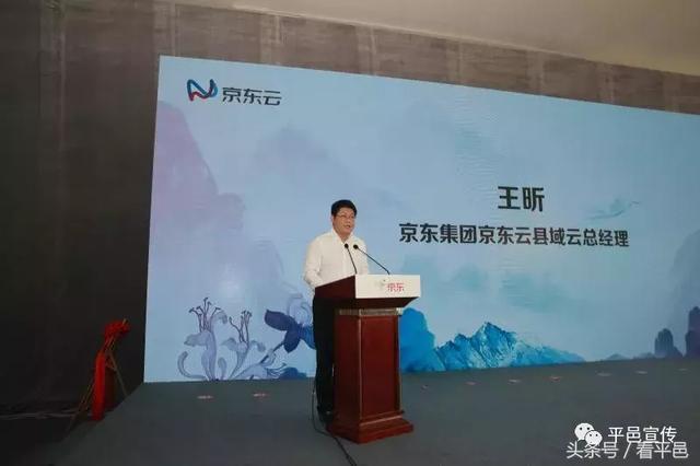 京东集团京东云县域运营总经理王昕介绍京东平邑特产馆项目情况