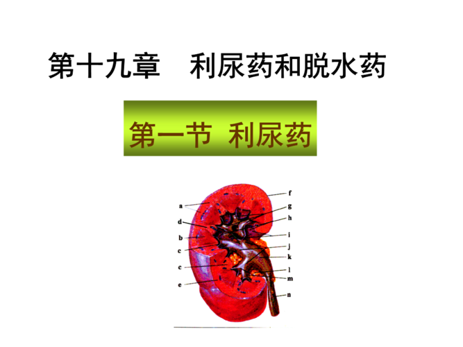 药理利尿药脱水药ppt.ppt