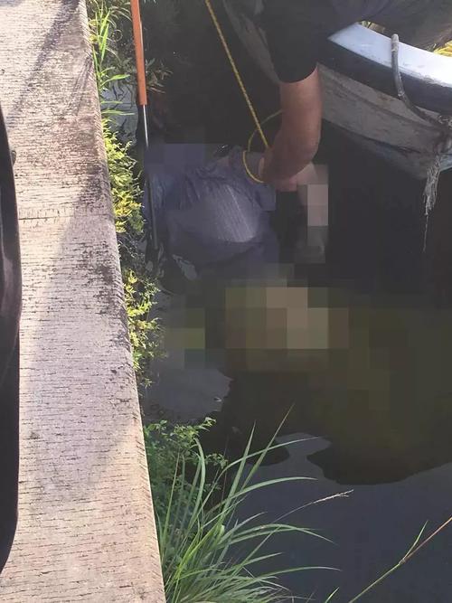 景宁周边|丽水南明湖捞出一具女尸!市民报料称:疑吵架跳河.