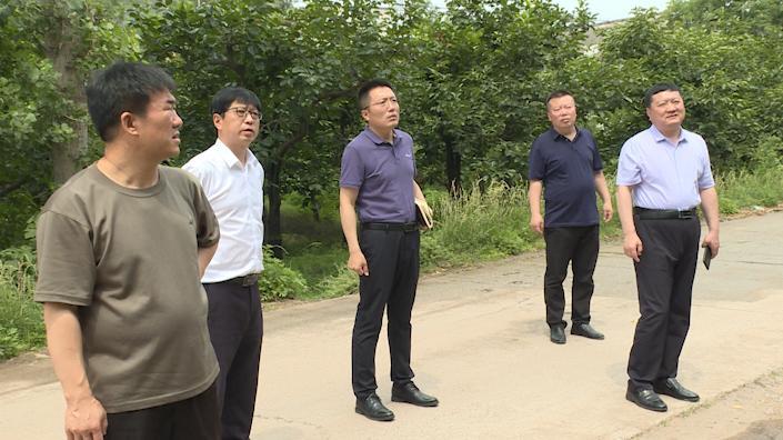 顺平县委书记陈志强