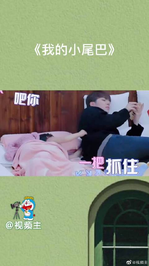 我的小尾巴simi和哥哥的相爱相sha