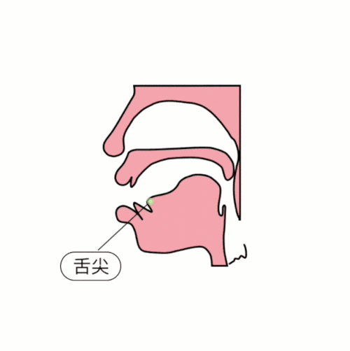 拼音中前鼻音和后鼻音的发音技巧 发音混杂是指前鼻音和后鼻音的舌位