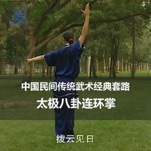 中国民间传统武术经典套路太极八卦连环掌在线观看演示:姜鲁地